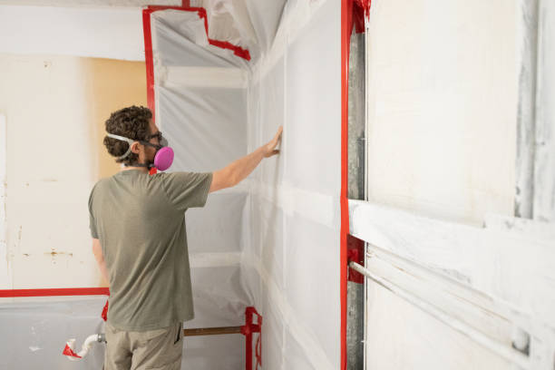 Best Emergency Mold Remediation  in Posen, IL